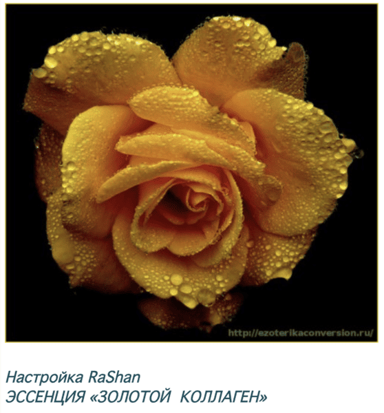  экрана 2026-07-09 в 00.26.23.png