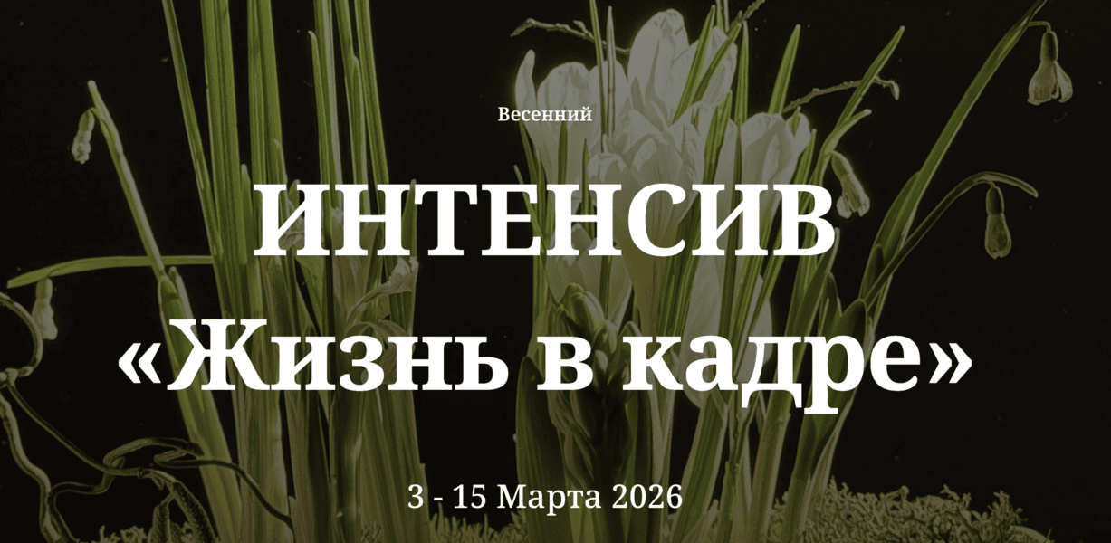  экрана 2026-08-02 в 02.46.52.png