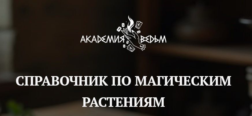 .jpg