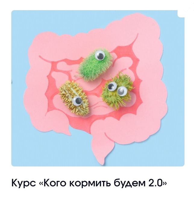  кормить.jpg