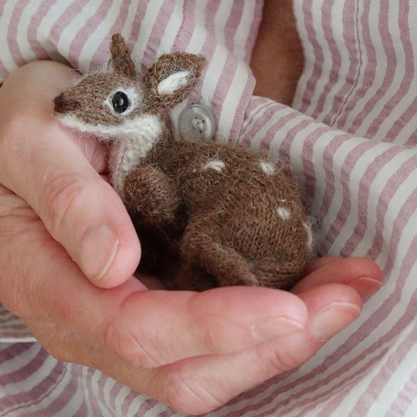 miniature-fallow-deer.jpg