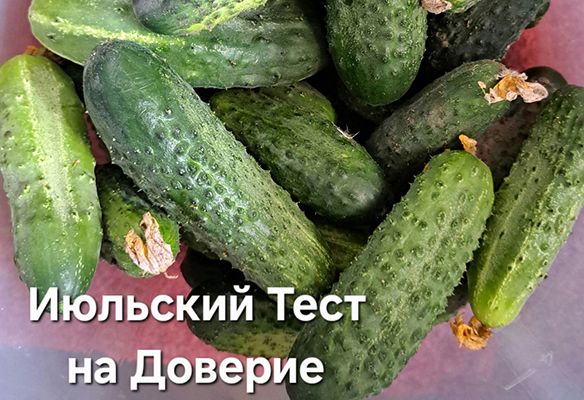  на доверии.jpg