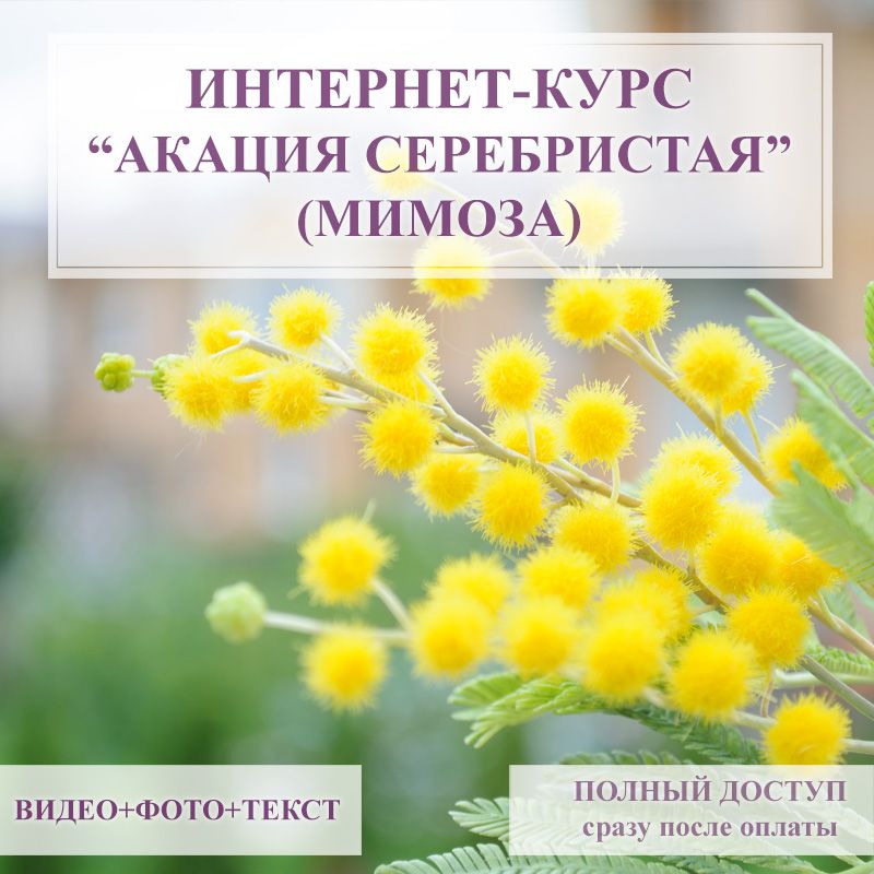 online-156.jpg
