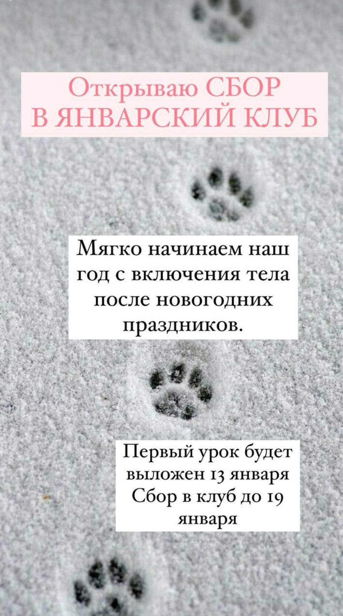 Screenshot_2025-01-18-02-13-50-997_org.telegram.messenger.jpg